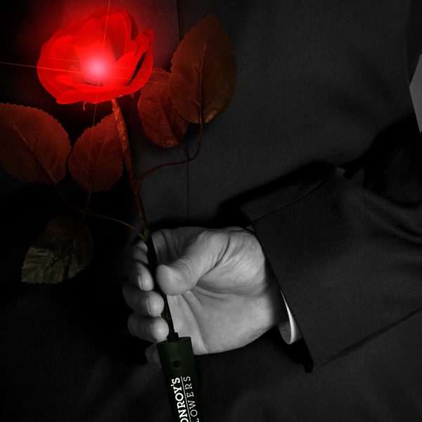 Valentine's Day